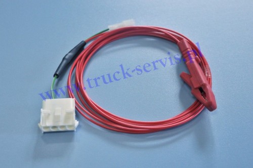 SC3924.jpg