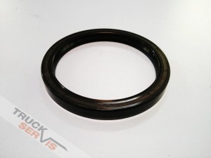 Uszczelniacz piasty 100x120/12 GIGANT