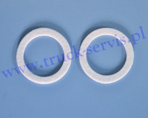 Pierścień uszczelniający EBERSPAECHER (2szt)