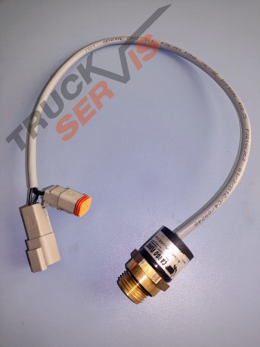 30512 Czujnik temperatury (1).jpg