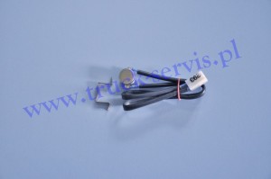 Czujnik płomienia D1LC/D1LCC EBERSPAECHER